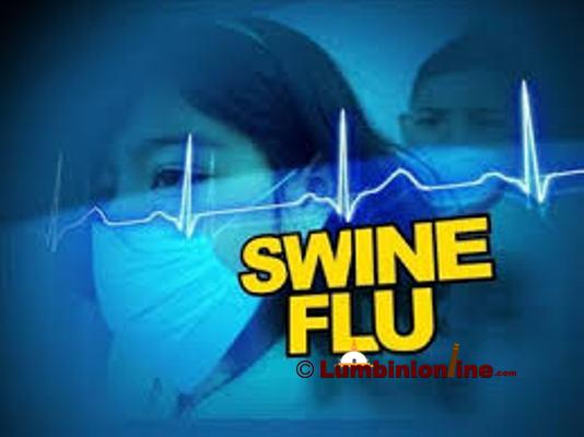 स्वाइन फ्युबाट एक हजार ७५५ को मृत्यु