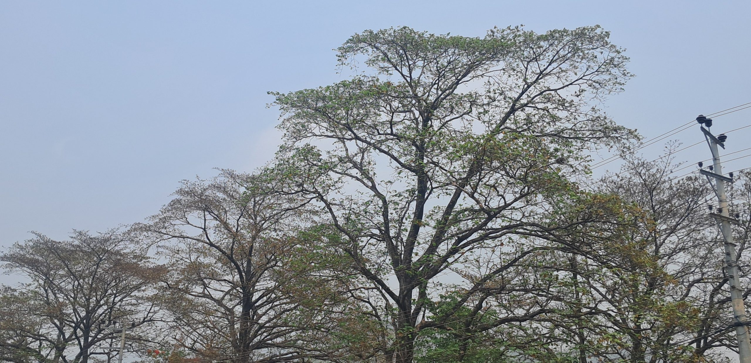 तराईका जिल्लामा तातो लहरको चेतावनी : उच्च सतर्कता अपनाउन अपिल